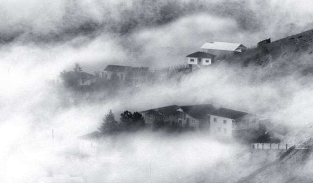 Photograph by Hamid musavi