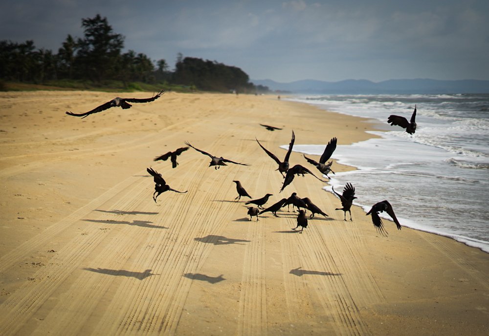 Photograph by Анна Силютина