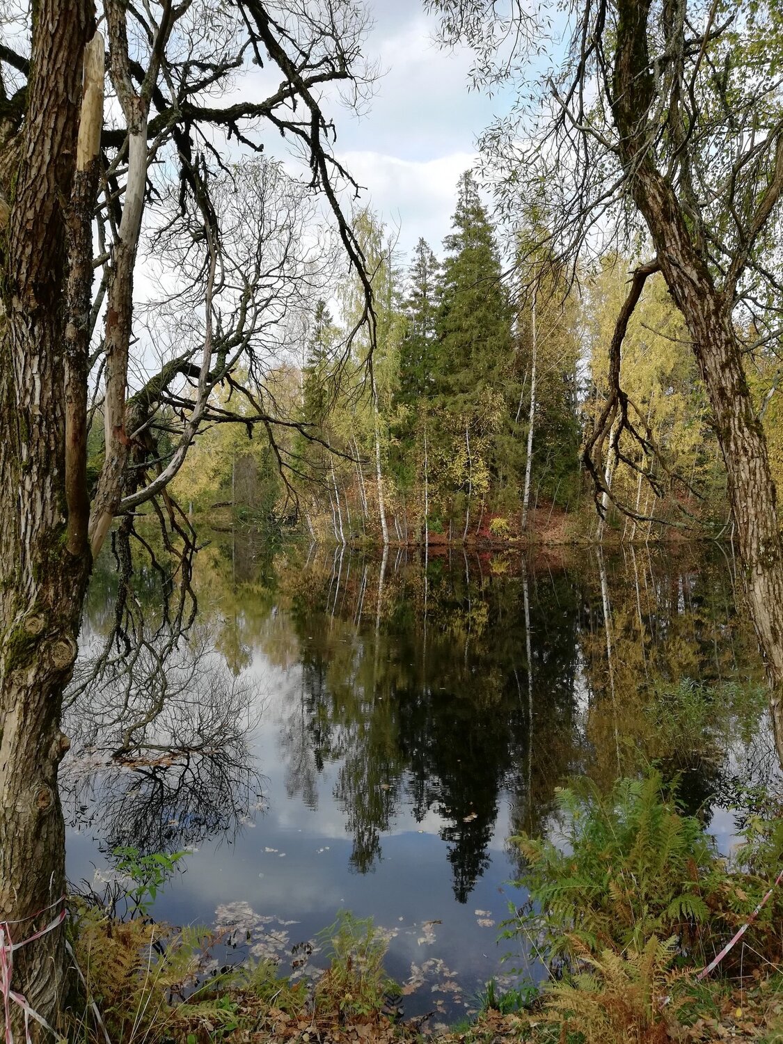 Осенний полдень