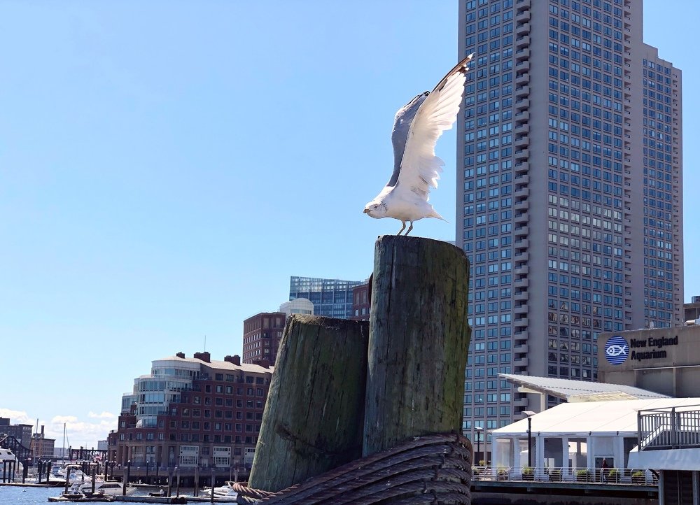 Photograph by Лилия Куюн