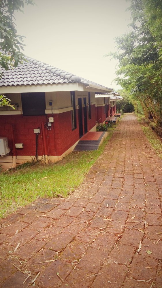 Photo #5025850