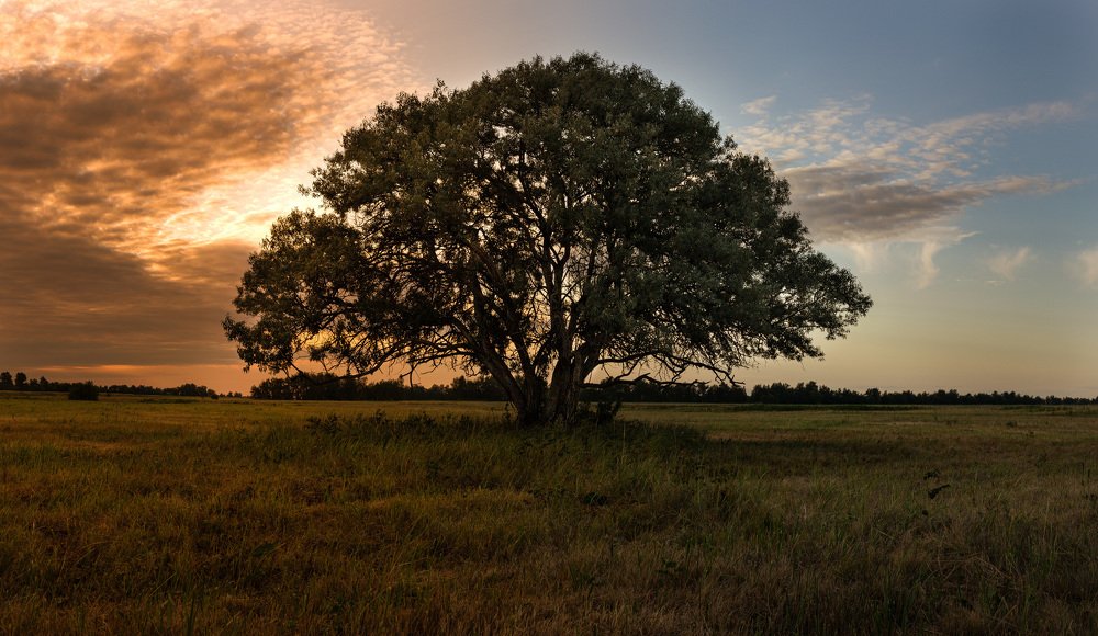 Фотография автора Сергей Кремер