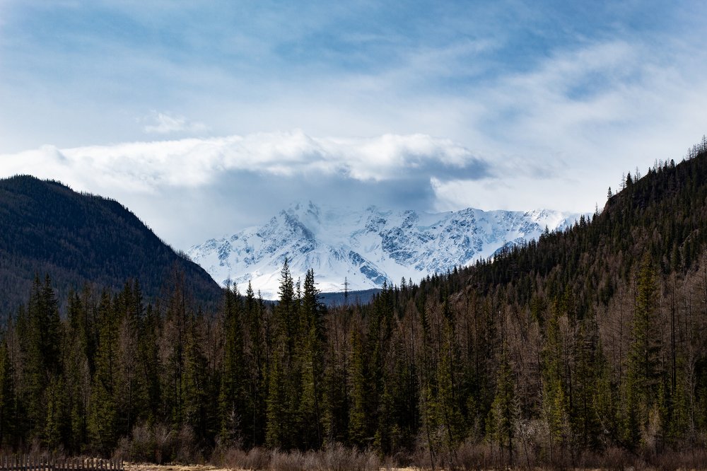 Фотография автора Сергей Кремер