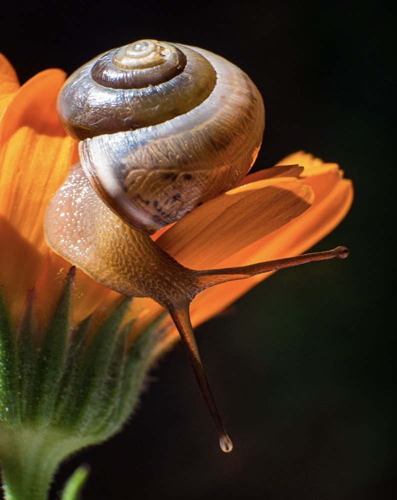 Photograph by Марина Сидоренко