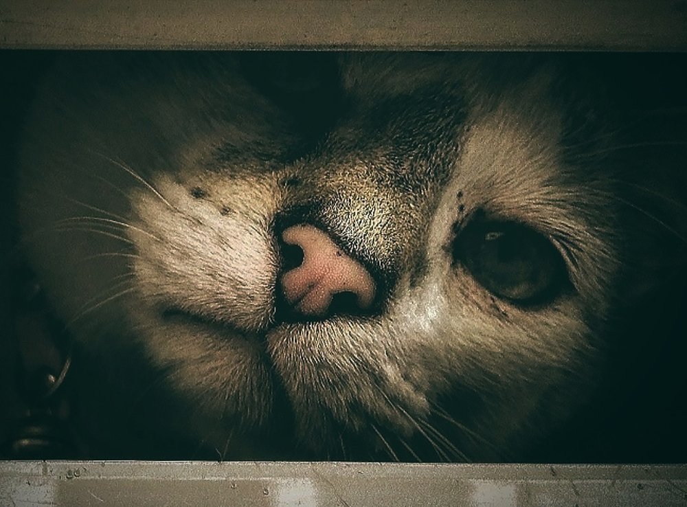 Photograph by Марина Хохрякова