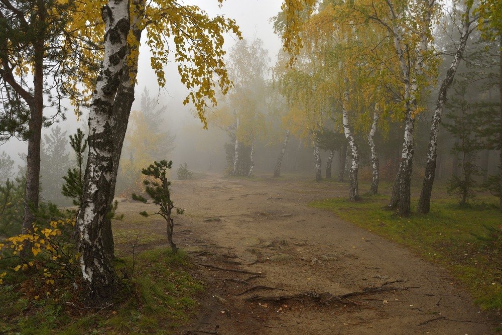 Photograph by Павел Фёдоров