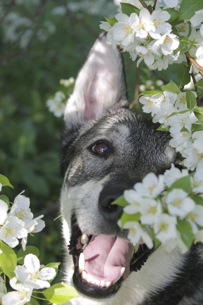 Photograph by Елена