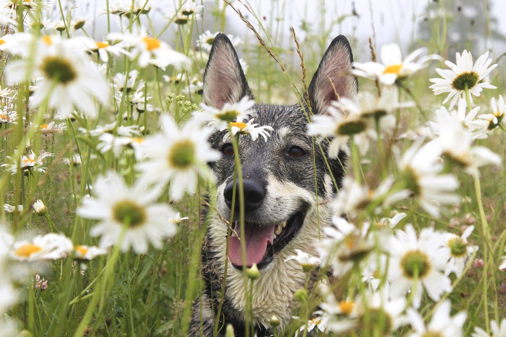 Photograph by Елена