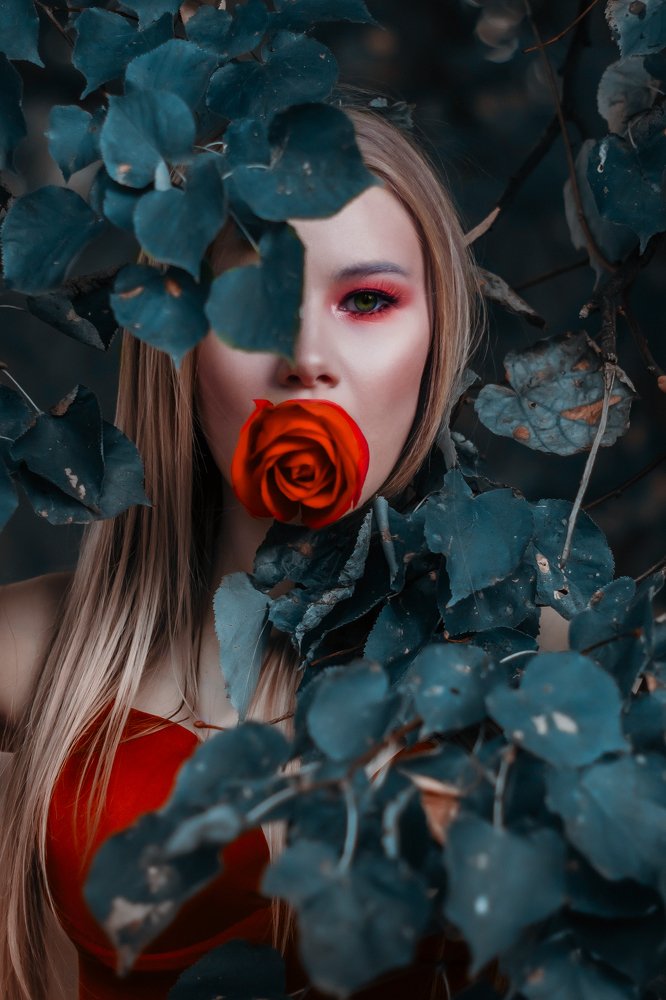 Страшная сказка о любви