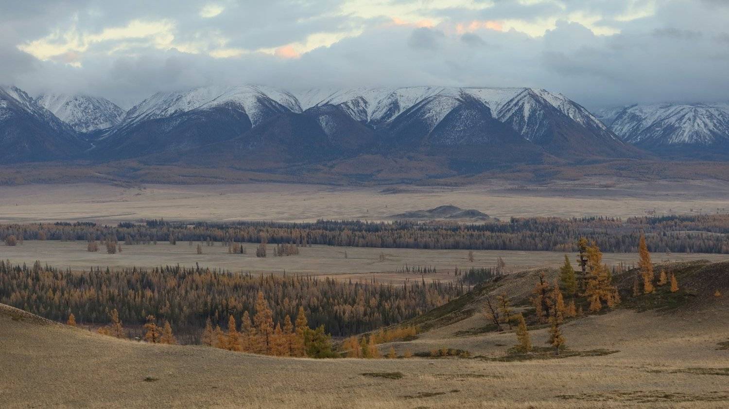 Вечером в Курайской степи