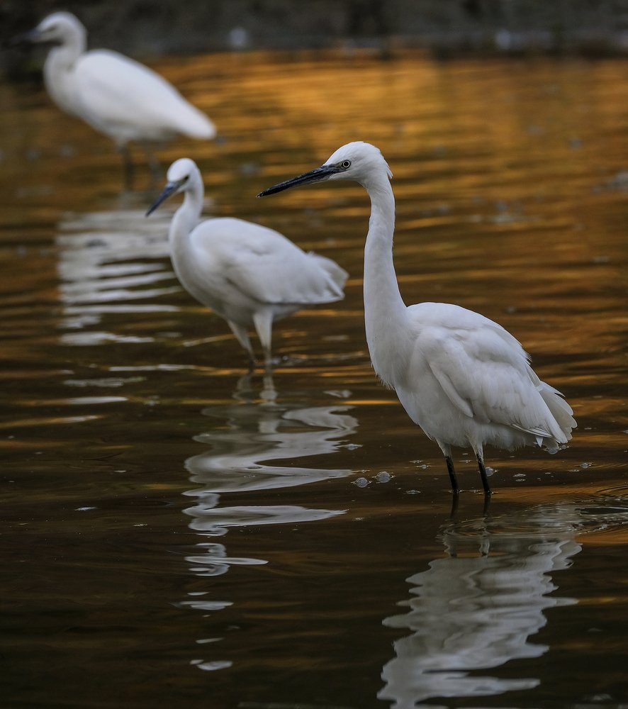 В ожидании...
