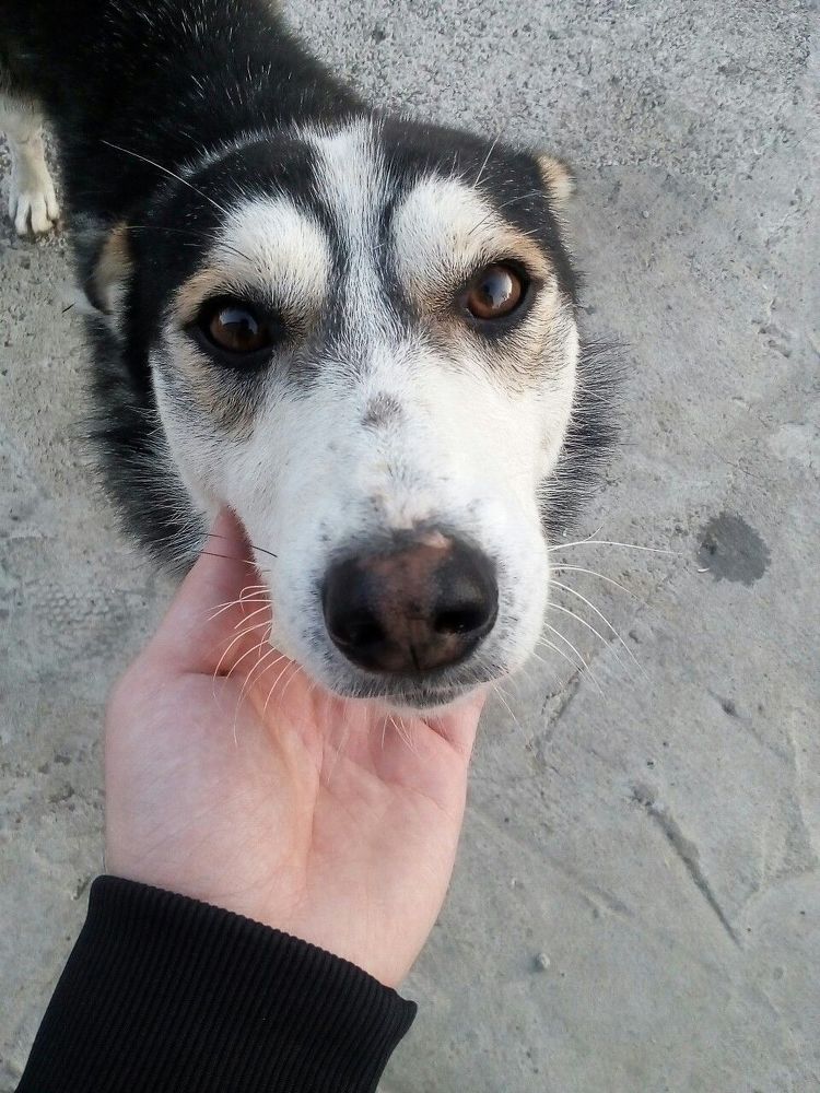 Photograph by Nikolozi Berishvili