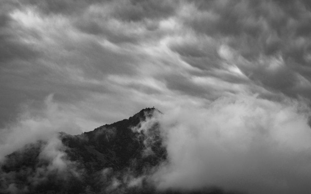 Photograph by Dan Gabriel