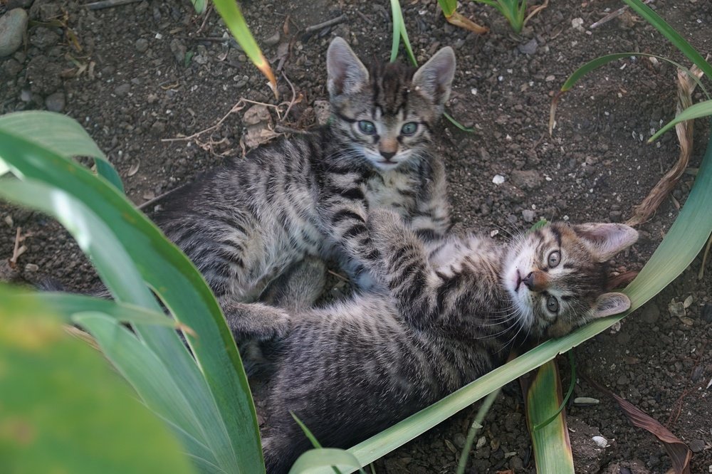 Photograph by Аркадий Смирнов