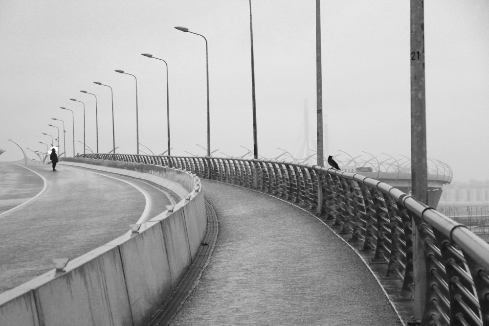 Photograph by Алена Яцун