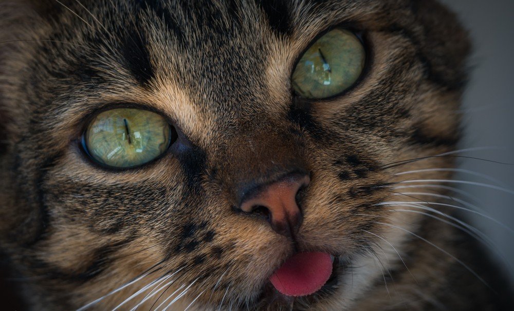 Photograph by Dan Gabriel