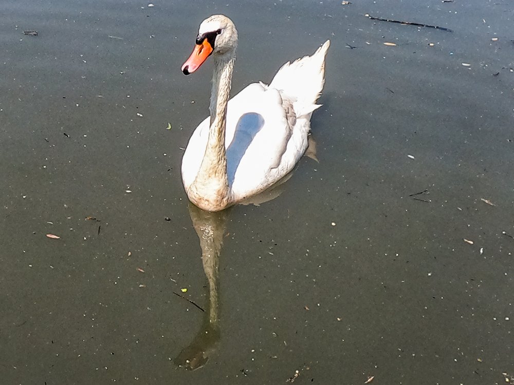 Photograph by Bojan Milosavić