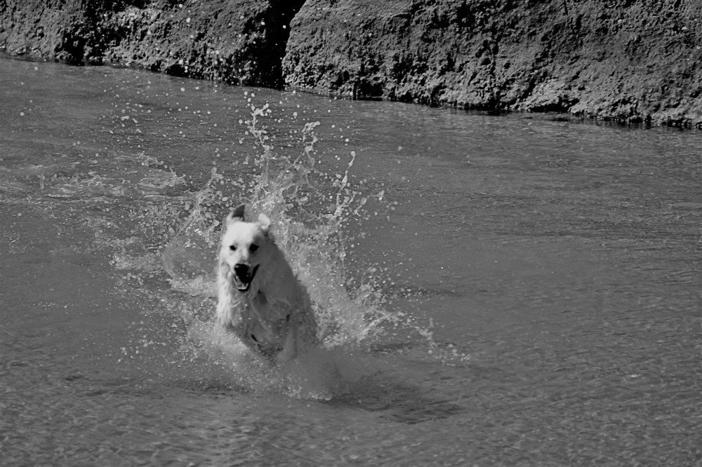 Photograph by Debbie Strauss