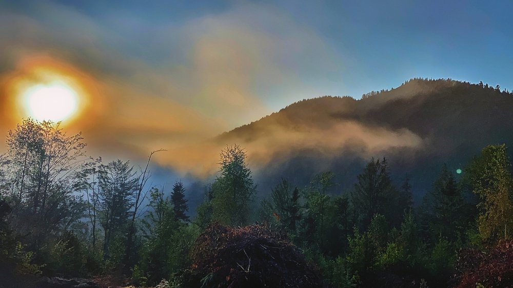 Photograph by Мари Полищук