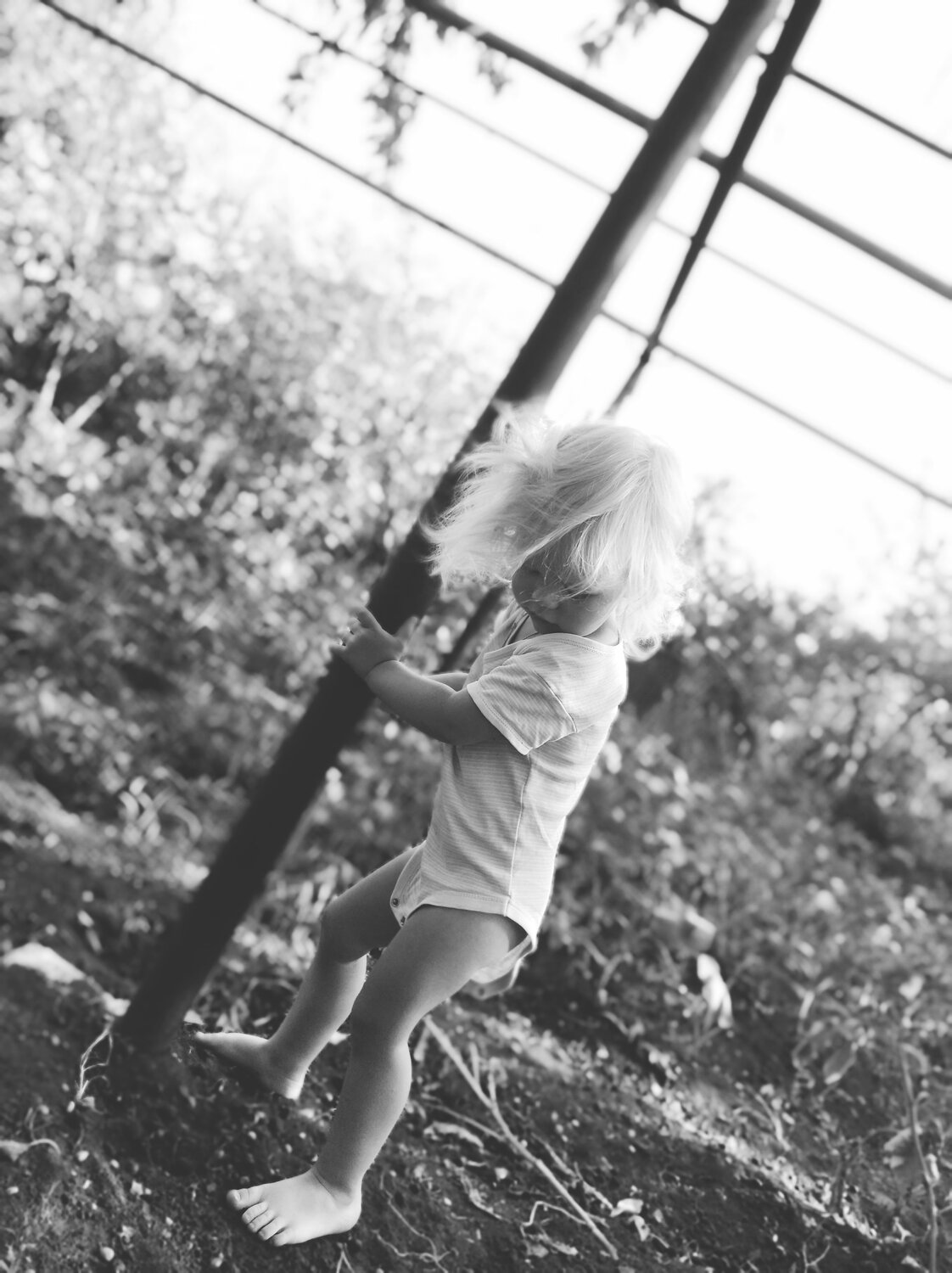 Photo #5026502