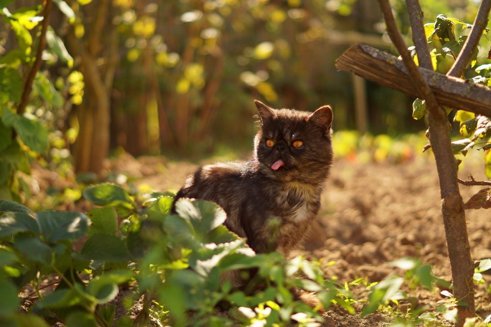Photograph by Анастасия Зайцева
