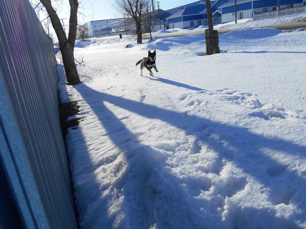 Photo #5026601