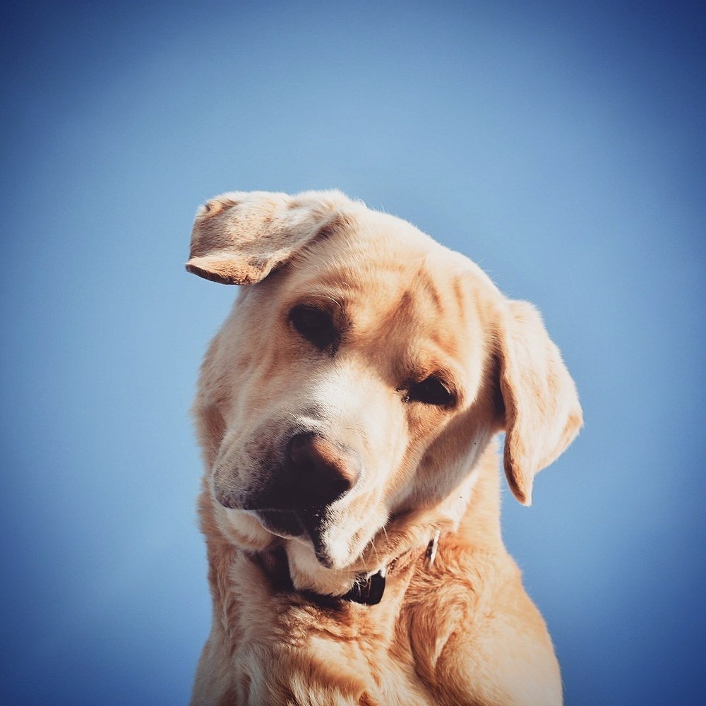 Photograph by Xristos Taxidis