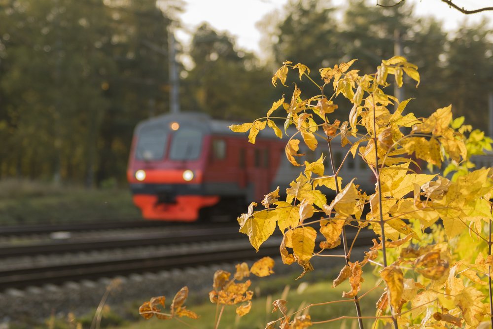 Осенняя электричка.