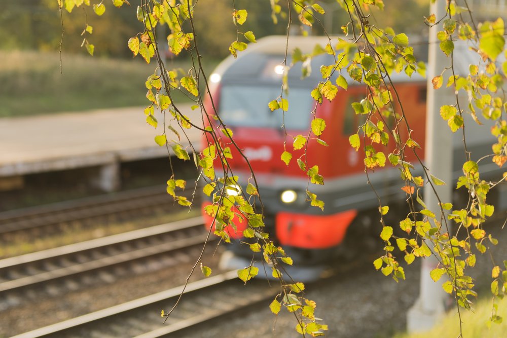 Осенняя электричка.