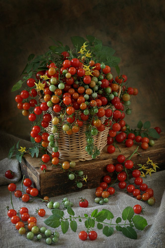 Photograph by Sonata Žemgulienė