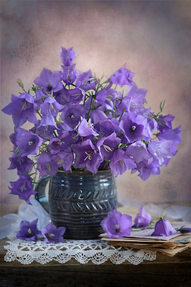 Photograph by Sonata Žemgulienė