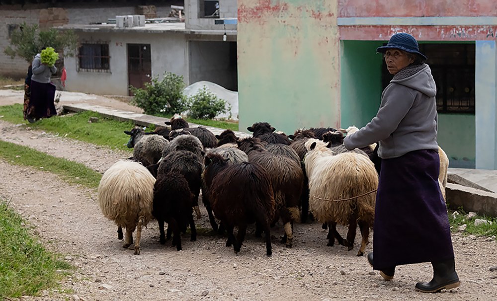 Фотография автора Elena Stewart