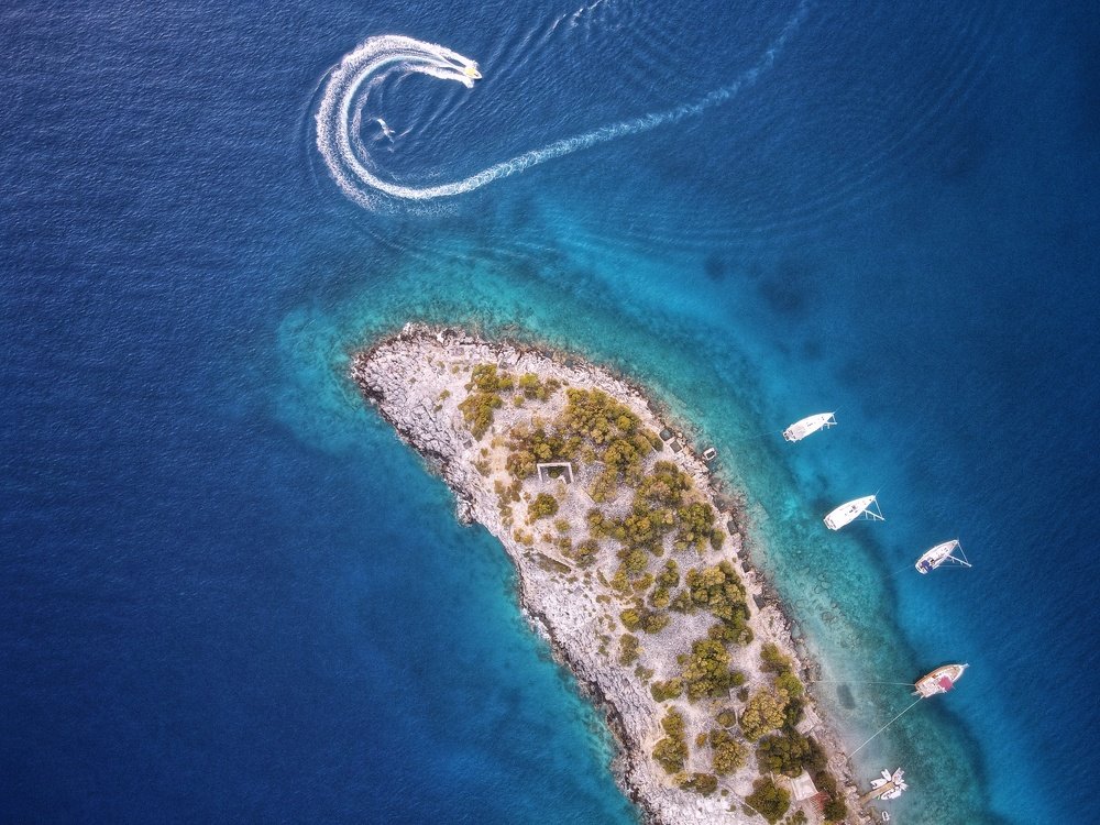 Фотография автора Максим Мишин