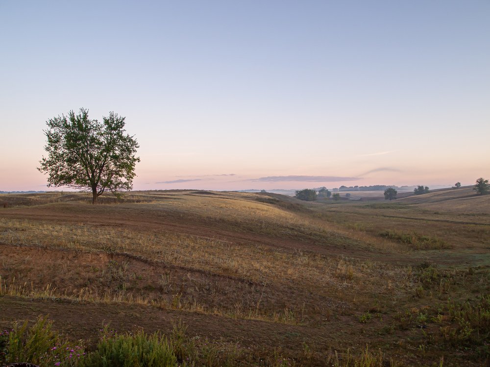 Photograph by Александр Малышев