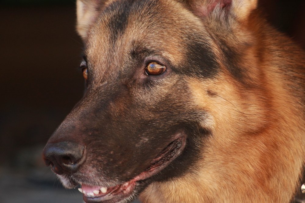 Photograph by Sourav Mahant