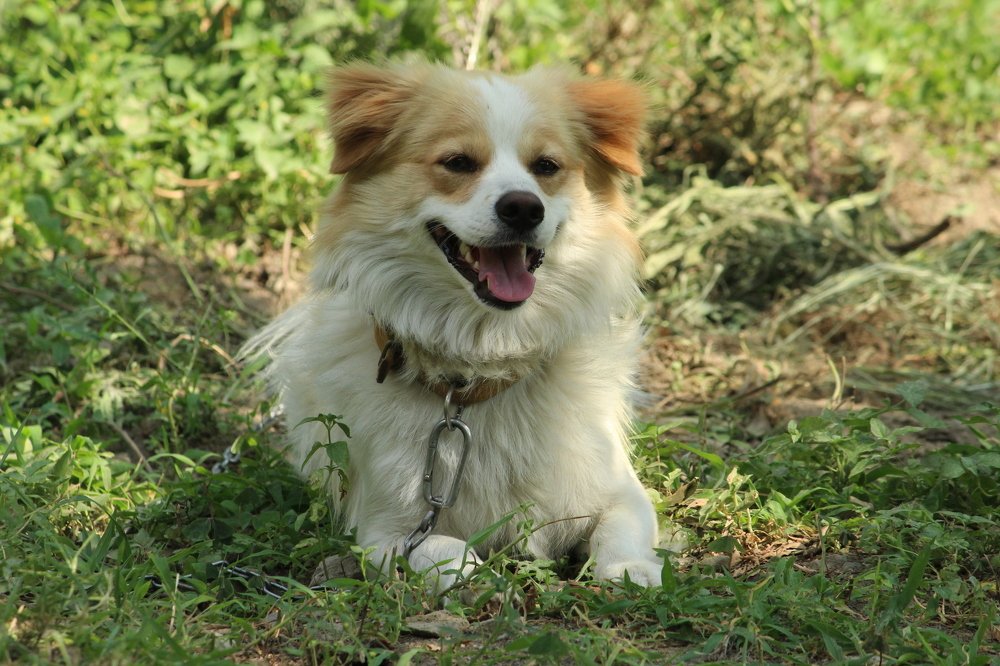 Photograph by Sourav Mahant