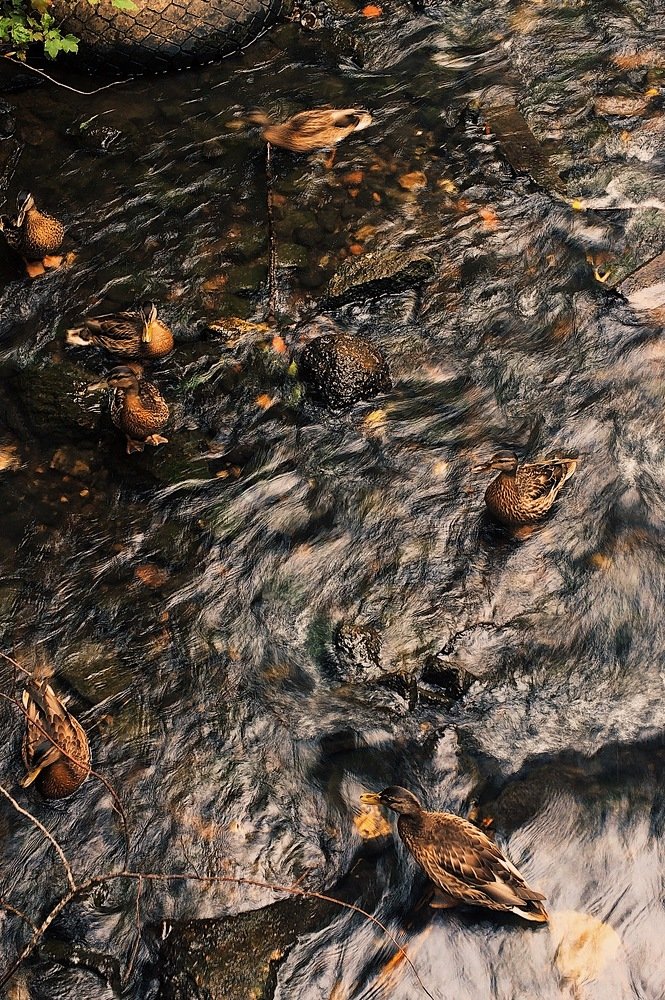 Photograph by Гребёнкина Ирина