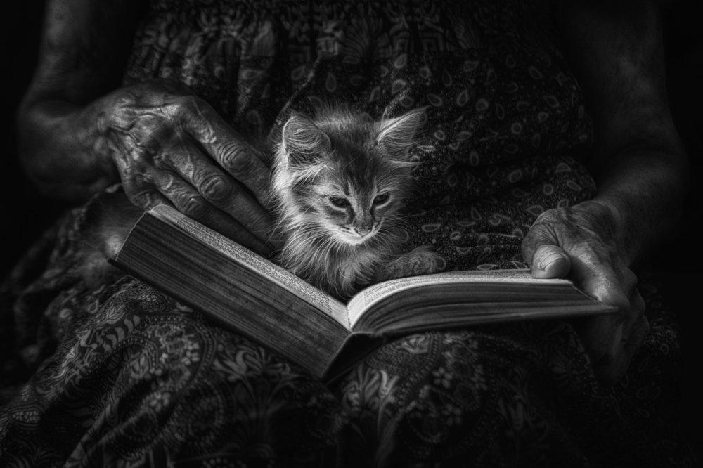 A little tale about a little cat