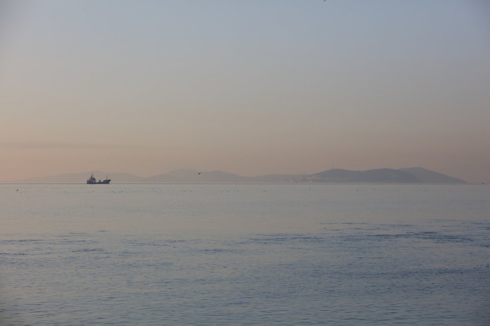 Photograph by Владимир Дерябин