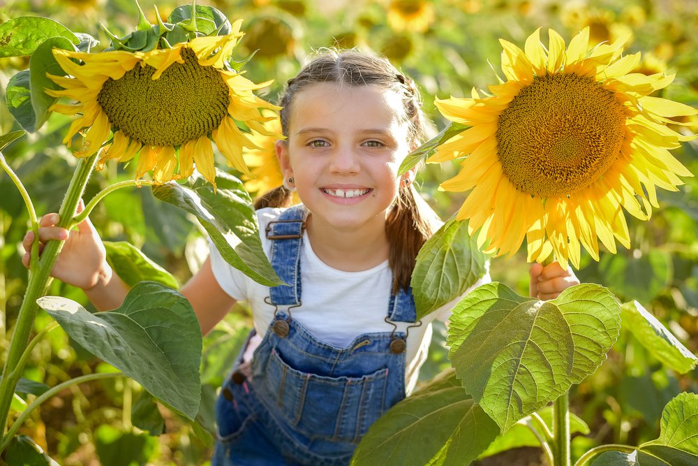 Следуй за солнцем!