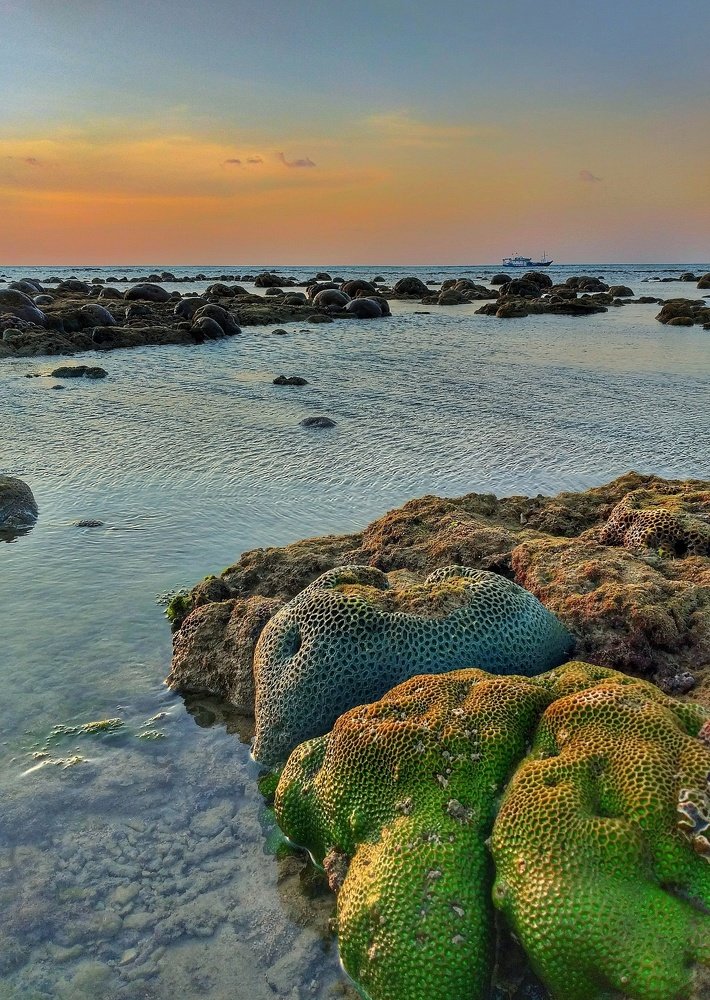 Photograph by Leni Tangmau