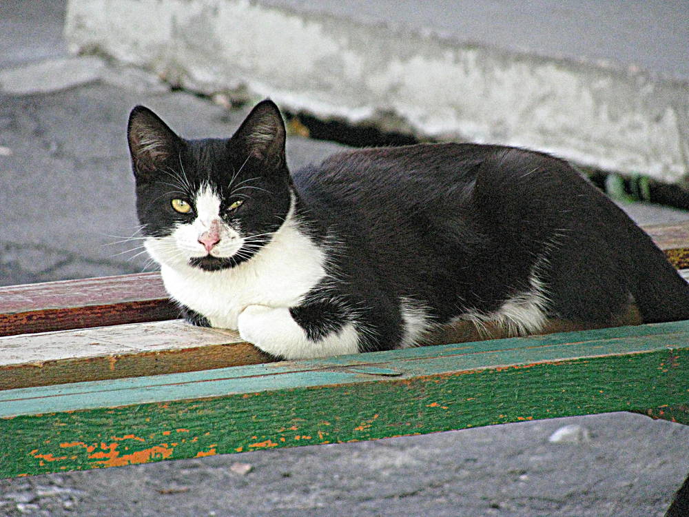 Photograph by Владимир