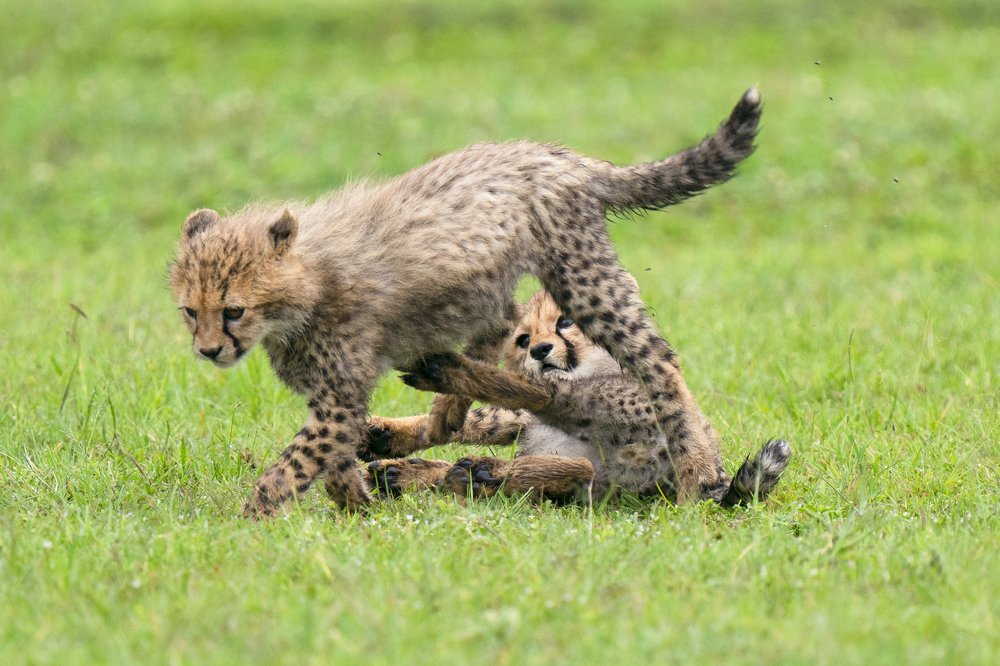 Photograph by EELIN Chan