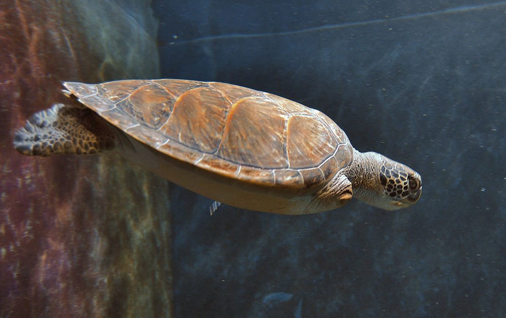 Photograph by Яков