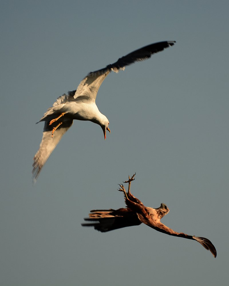 Photograph by Сергей Шварцман