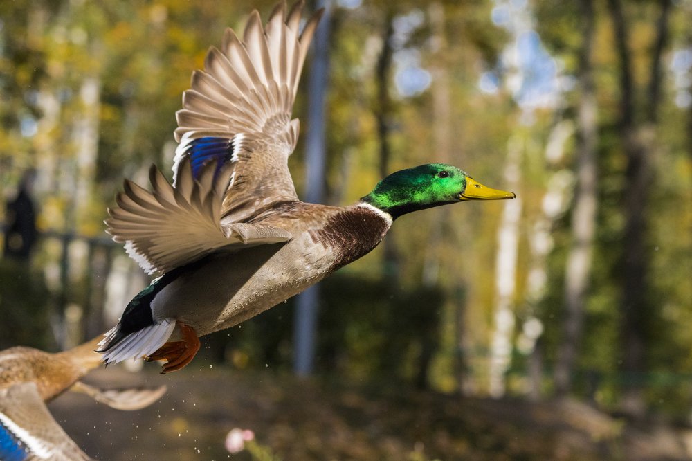 Photograph by Дмитрий Тимин