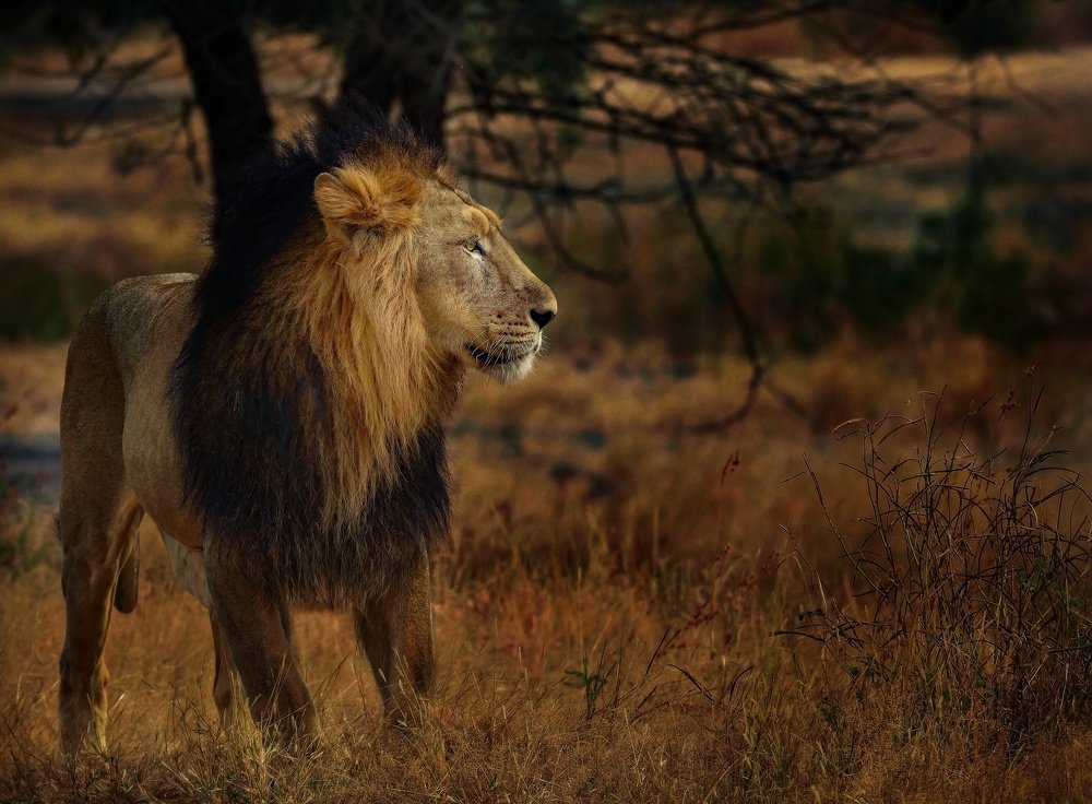 Фотография автора Ishan Vora