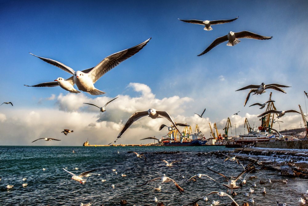 Photograph by Вадим Стрельцов