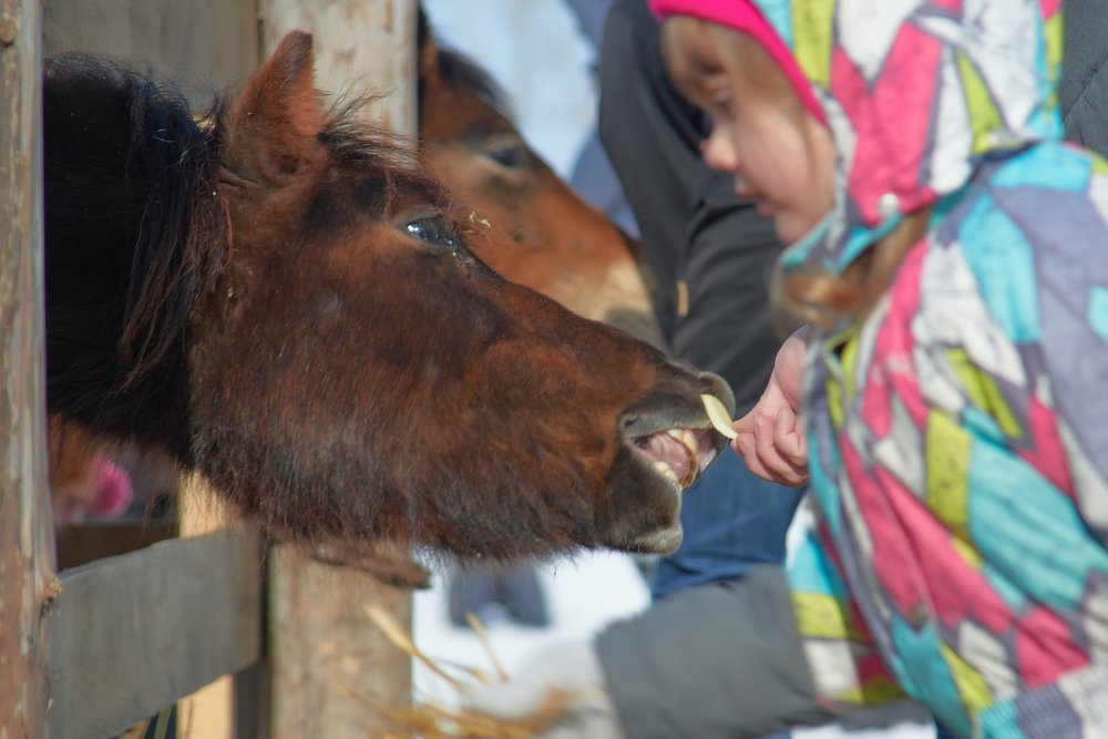 Photograph by Ольга Шибяева
