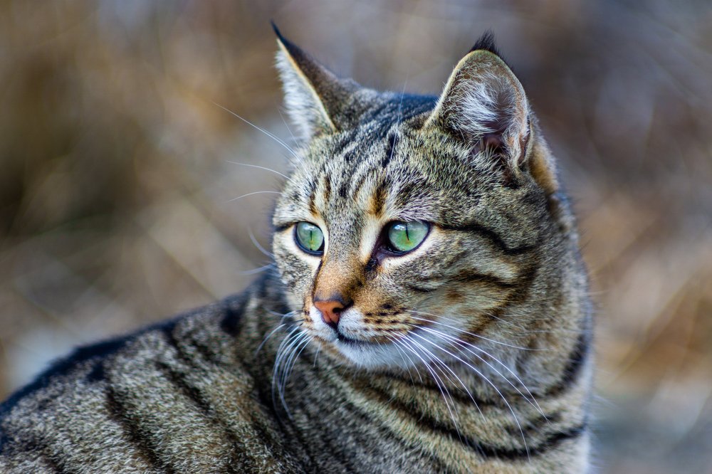 Photograph by Дмитрий Влизько